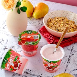 Йогурт с пищевкусовым компонентом Гранат-Малина